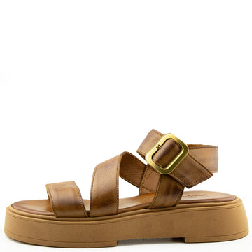 Lady Shoes 728 Tampa