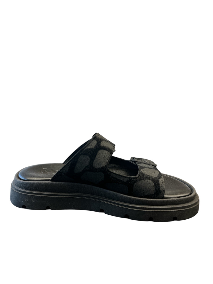 Lady Shoes 519 Black Cow