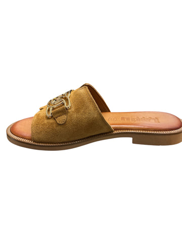 Lady Shoes 103 Tampa