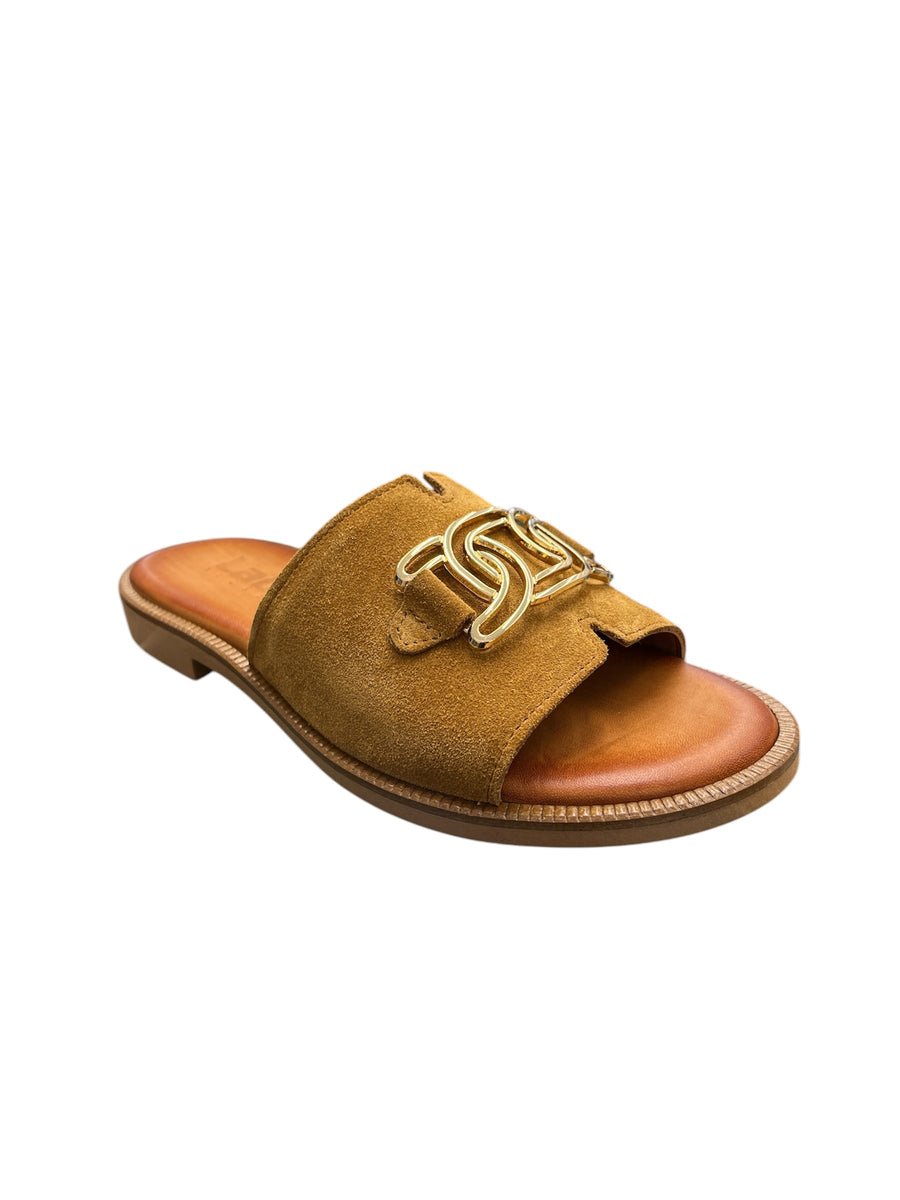 Lady Shoes 103 Tampa