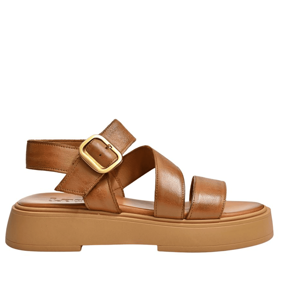 Lady Shoes 728 Tampa
